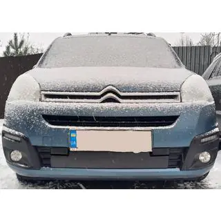 Зимняя решетка (2015-2018)
