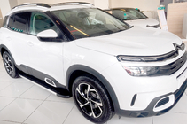 Citroen C5 Aircross 2017-2025 гг. Боковые Подножки Duru (2 шт., Алюминий) фото 1