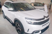 Citroen C5 Aircross 2017-2025 гг. Боковые Подножки Duru (2 шт., Алюминий) фото 3