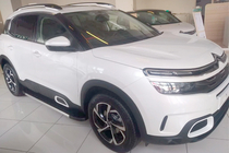 Citroen C5 Aircross 2017-2025 гг. Боковые Подножки Duru (2 шт., Алюминий) фото 10