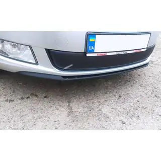 Зимняя накладка на решетку радиатора (2011-2014, нижняя) Skoda Fabia 2007-2014 гг. фото 2