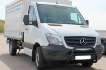 Mercedes Sprinter W906 2006-2018 гг. Кенгурятник WT003 (черный) фото 3