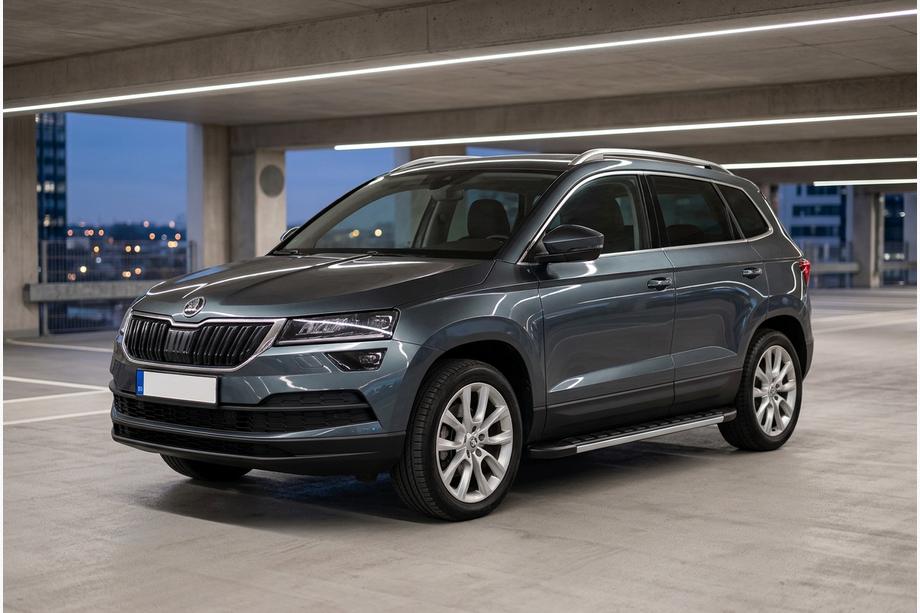 Skoda Karoq 2018- гг. Боковые Подножки Duru (2 шт., Алюминий) Image