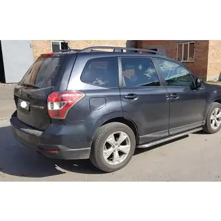 Боковые Подножки Premium (2 шт., Нержавейка) фото 1