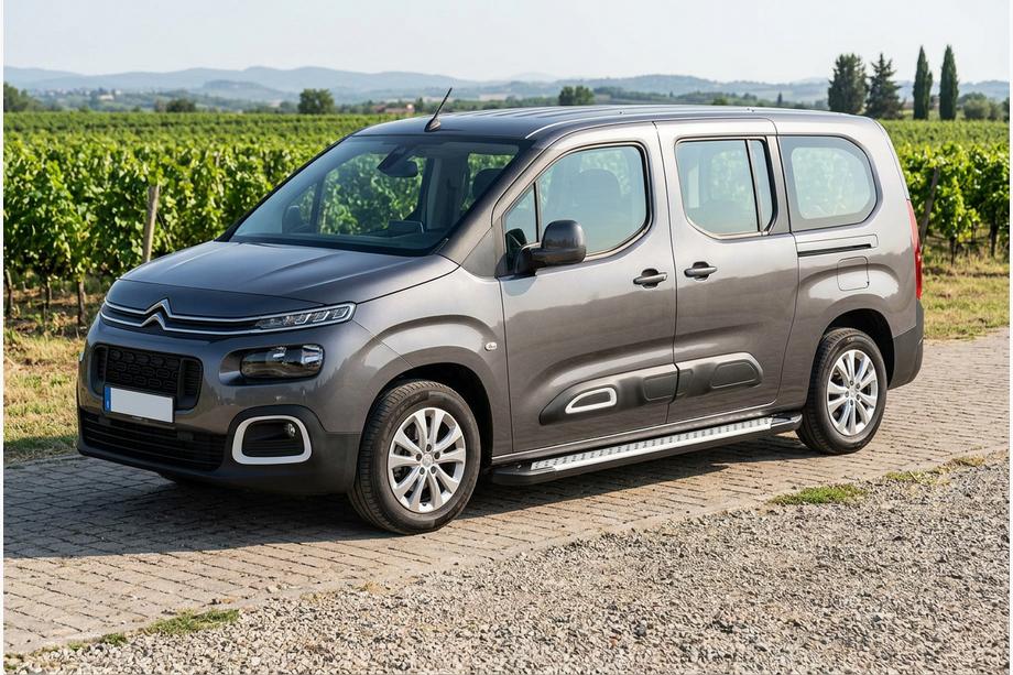 Citroen Berlingo/Multispace 2018- гг. Боковые пороги Allmond Grey (2 шт., алюминий) Image