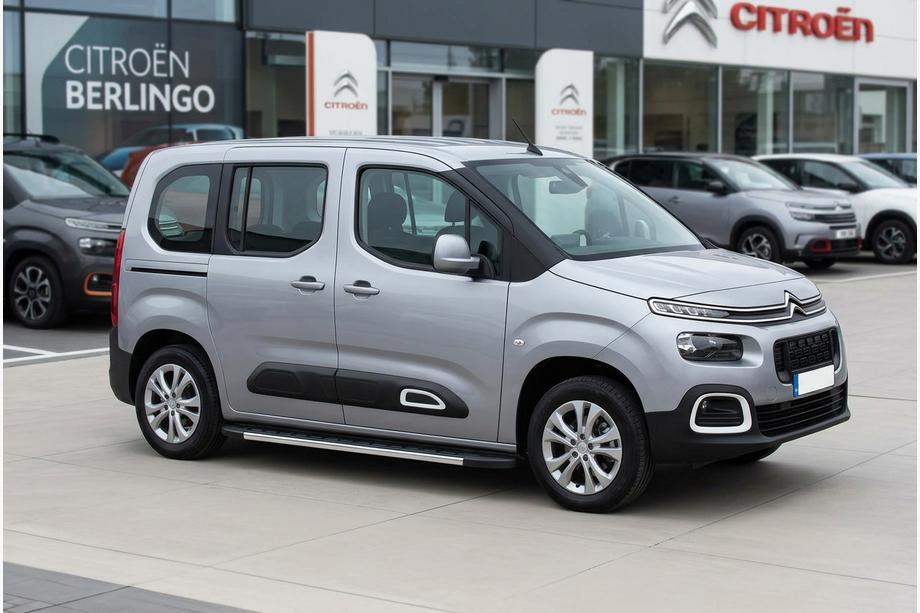 Citroen Berlingo/Multispace 2018- гг. Боковые Подножки Duru (2 шт., Алюминий) Image