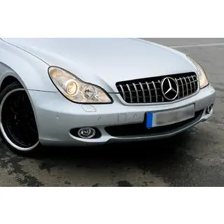 Передняя Решетка Радиатора (2008-2010, GT Panamericana) фото 1