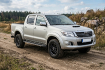 Toyota Hilux 2006-2015 гг. Боковые пороги Bosphorus Grey (2 шт., алюминий) фото 1