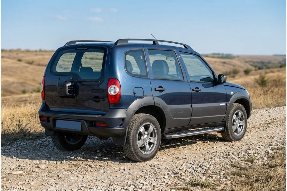Chevrolet Niva 1998-2020 гг. Боковые Подножки BlackLine (2 шт., Алюминий) Фото 1