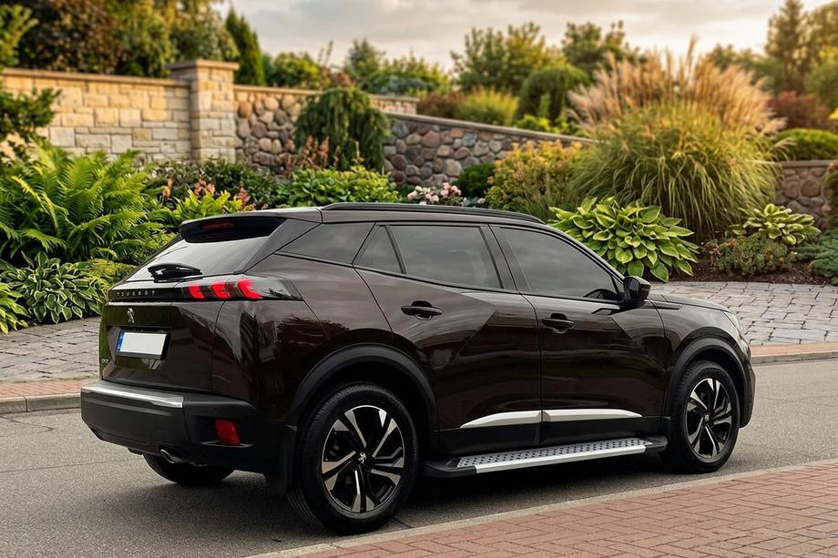 Peugeot 3008 2016-2023 гг. Боковые Подножки New Vision Grey (2 шт., Алюминий) Фото 1