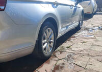 Volkswagen Passat B8 2015-2023 гг. Оригинальные брызговики Premium 2019-2023 SD/SW (EU, 4 шт) фото 3