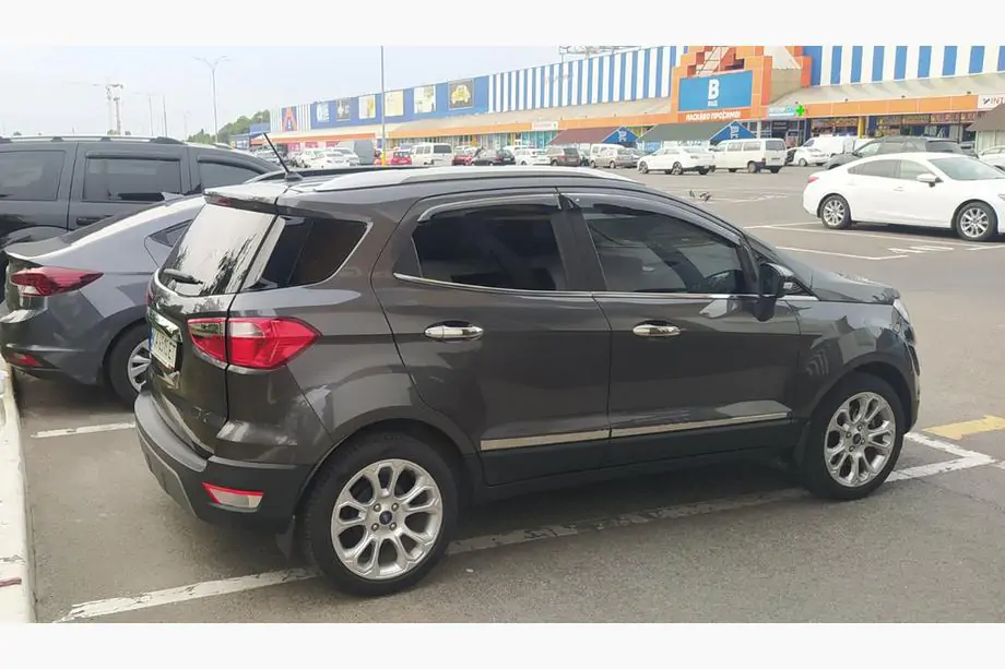 Ford Ecosport 2013-2022 гг. Молдинги дверей нержавейка (4 шт.)