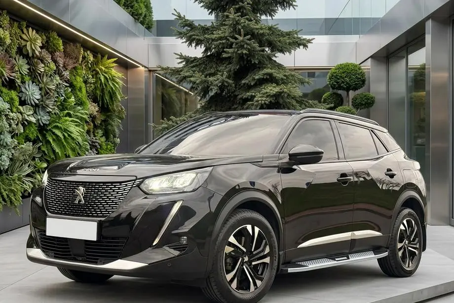Peugeot 3008 2016-2023 гг. Боковые Подножки Mevsim Grey (2 шт., Алюминий) Фото 1