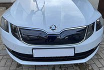 Зимняя решетка (2017-2020) фото 1