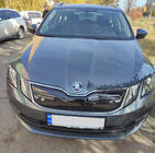 Зимняя решетка (2017-2020) фото 5