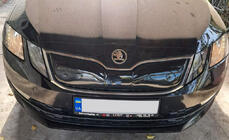 Зимняя решетка (2017-2020) фото 7