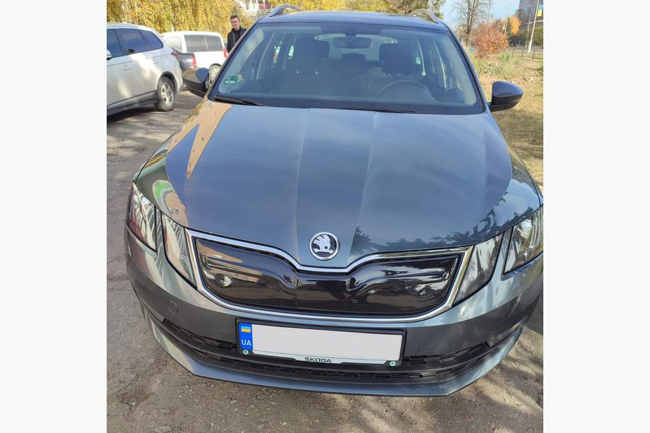 Skoda Octavia III A7 2013-2019 гг. Зимняя решетка (2017-2020) Матовый Фото 5