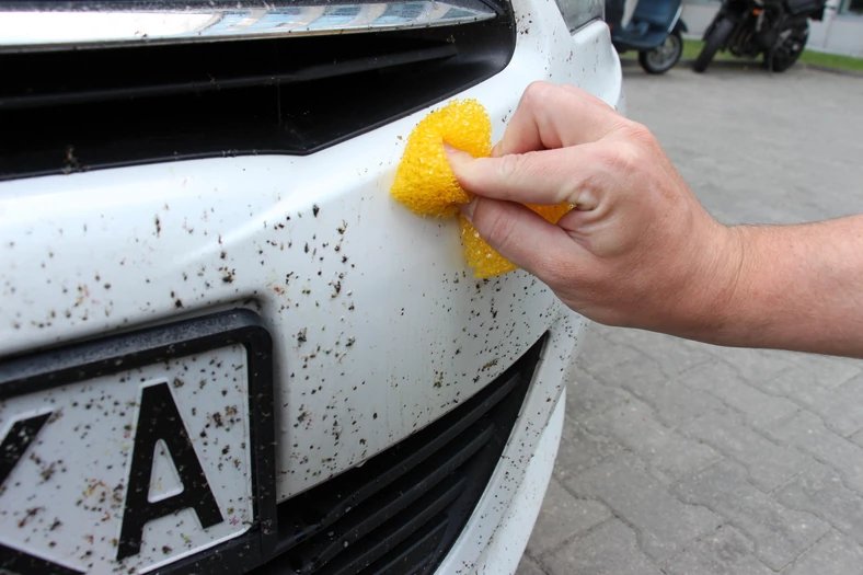 Как удалить налипших насекомых с автомобиля?