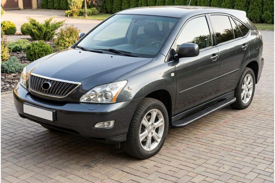 Lexus RX 2003-2009 гг. Боковые пороги Bosphorus Black (2 шт., алюминий) Фото 1