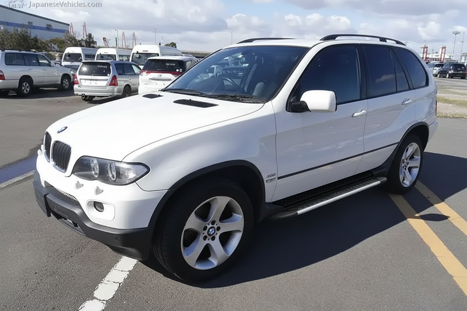 BMW X5 E53 1999-2006 гг. Боковые Подножки Bosphorus Grey (2 шт, Алюминий) Image