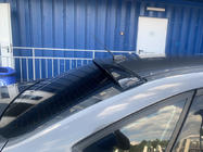 Бленда на заднее стекло Sedan (ABS) фото 1