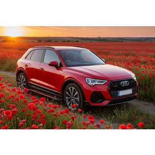 Боковые Подножки Maya Red (2 шт., Алюминий) фото 1