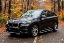 BMW X1 F48 2015-2022 гг. Боковые Подножки Tayga Grey (2 шт., Алюминий) фото 1