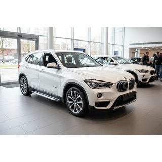 Боковые Подножки Vision New Grey (2 шт., Алюминий) BMW X1 F48 2015-2022 гг. фото 1