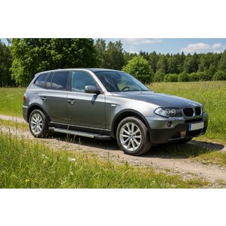 Боковые Подножки RedLine (2 шт., Алюминий) BMW X3 E83 2003-2010 гг. фото 1