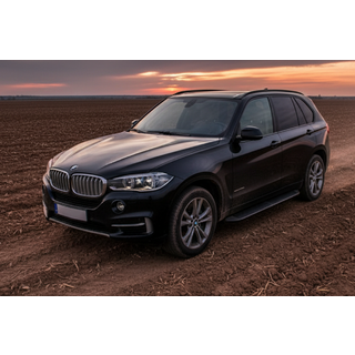 Боковые Подножки Tayga Black (2 шт., Алюминий) фото 1