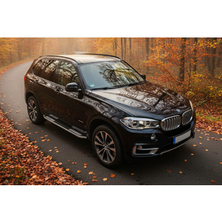 Боковые Подножки Tayga V2 (2 шт., Алюминий) фото 1