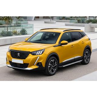 Боковые Подножки Duru (2 шт., Алюминий) Peugeot 2008 2019- гг. фото 1