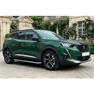 Боковые Подножки Maydos V1 (2 шт., Алюминий) Peugeot 2008 2019- гг. фото 1