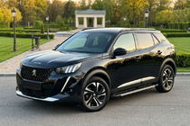 Peugeot 2008 2019- гг. Боковые Подножки RedLine (2 шт., Алюминий) фото 1