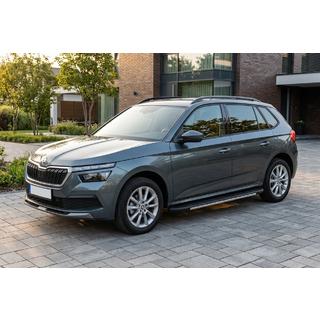 Боковые Подножки Bosphore Grey (2 шт., Алюминий) Skoda Kamiq 2019- гг. фото 1
