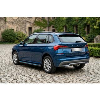 Боковые Подножки Maya Blue (2 шт., Алюминий) Skoda Kamiq 2019- гг. фото 1