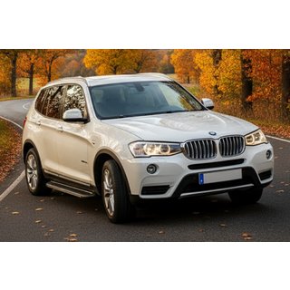 Боковые Подножки Bosphore Grey (2 шт., Алюминий) BMW X3 F25 2011-2018 гг. фото 1