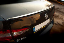 Спойлер LIP (Sunplex, черный) (119,2см*7,3см) фото 2