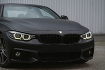 BMW 4 серия F32/F33/F36 2012-2020 гг. Ноздри M-Look (Черный Мат) фото 1